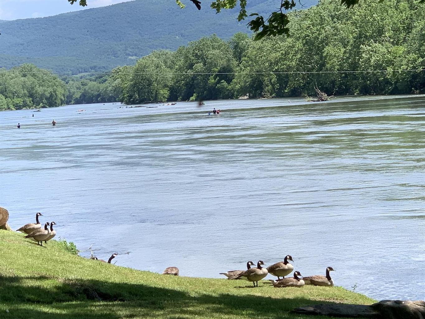 Bear Valley- Riverfront With Hot Tub! Luray Eksteriør billede